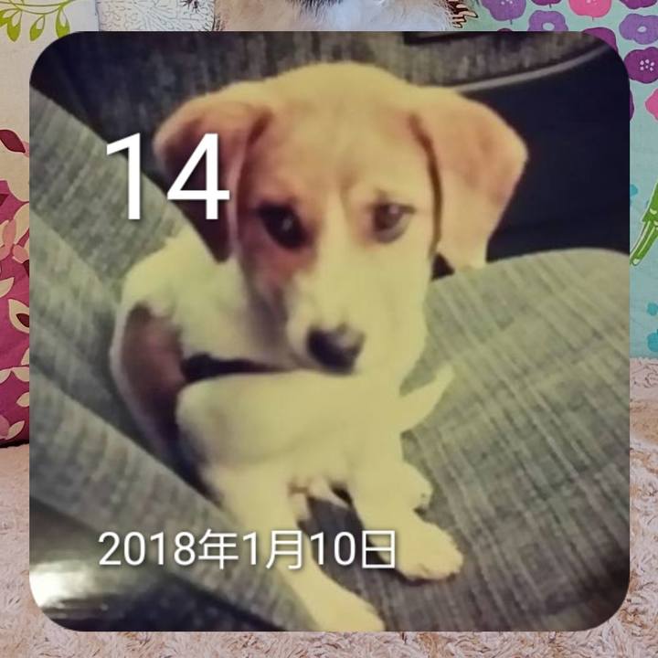 229043e9 1404 4c39 bc93 4bb6769c07ff 1705182790071