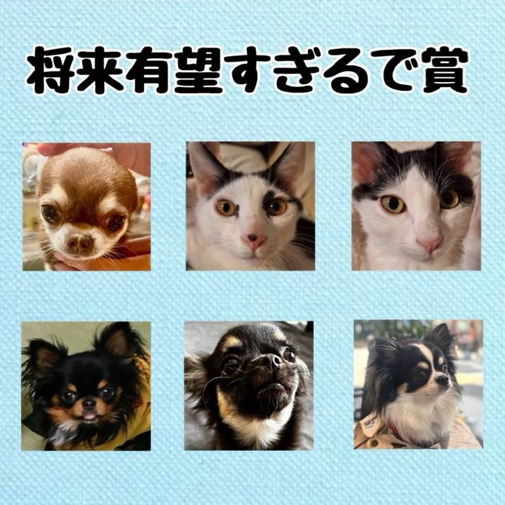 229045ff 8521 485d b83d a386c4806305 1738017462728