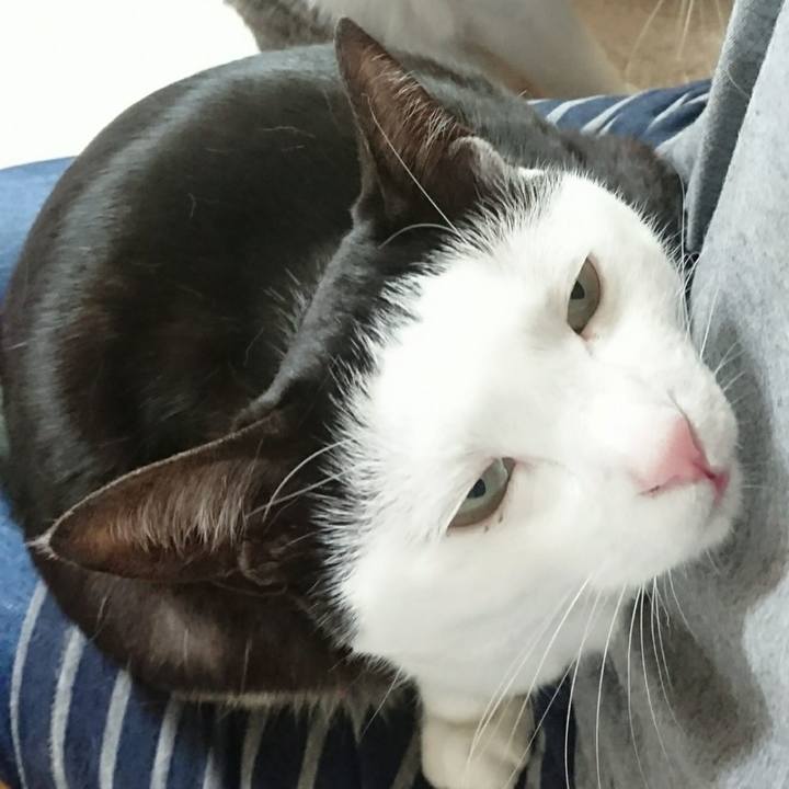 229064d5 bb5a 4176 8dd8 a9371c71a882 1524534262168