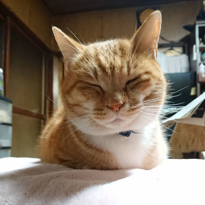 2290897f 7ab2 40bb a120 eb8893af5ee0 1608668745714