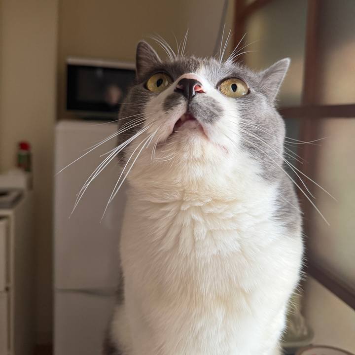 22909ac0 8286 4e13 b5e4 53c420bedc79 1770176320736