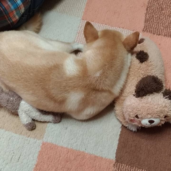 2290b78e c0b1 4261 a342 b0bbbecfdb4e 1543111274230