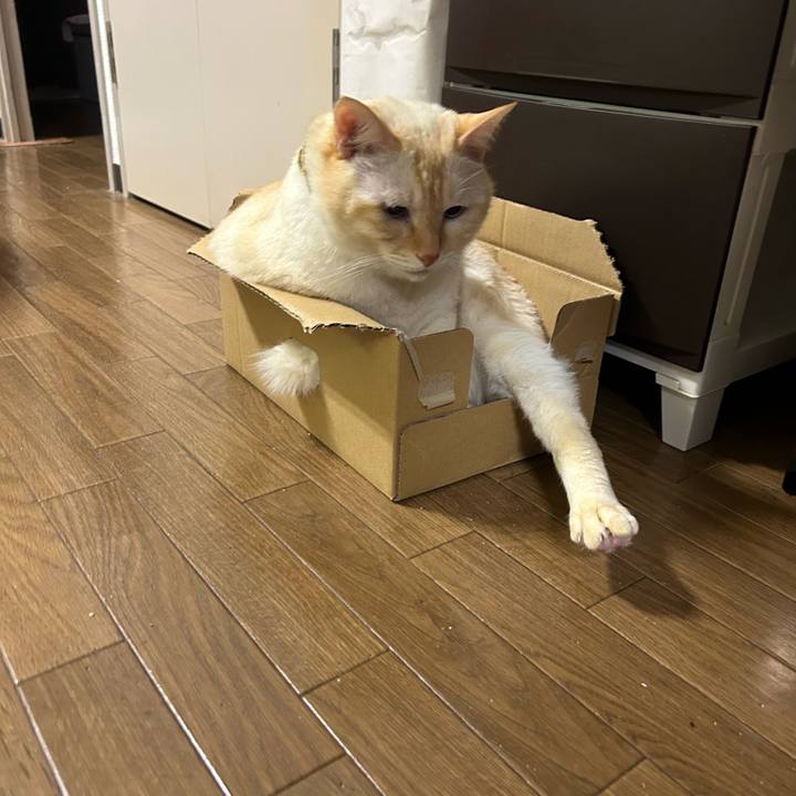 2290ca42 6312 47df 8c9e 968710f0e861 1754377653956