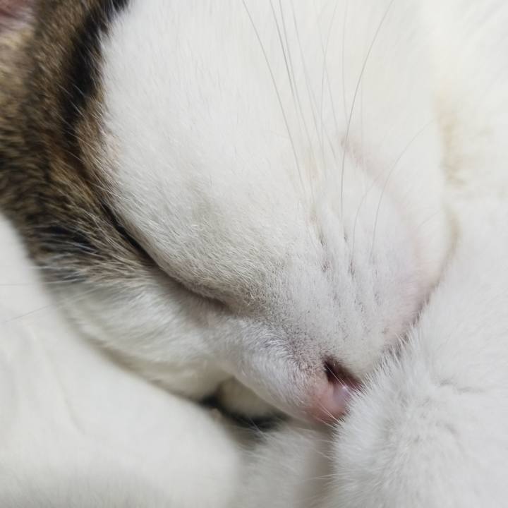 229104b8 7c18 483f 9d45 f7049f2b43d7 1593821138934