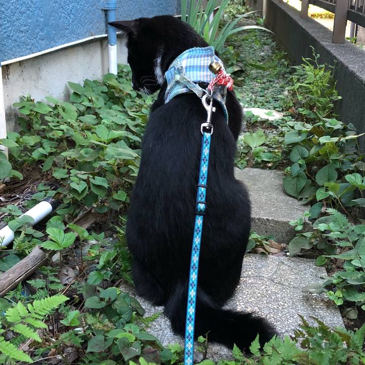 229117a3 2375 4a29 a762 541b5a1dc64e 1537139622281