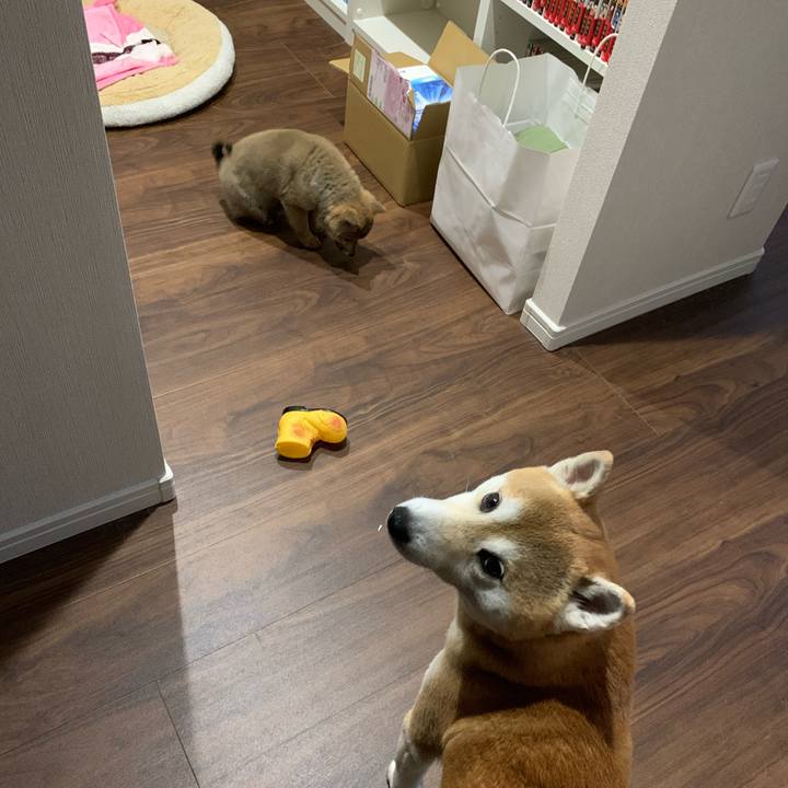 22912073 5cb4 4c08 8d02 14a5d21efa5c 1616538182647