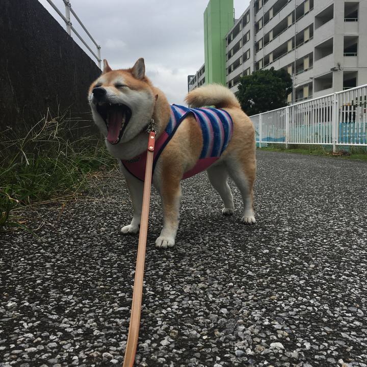 229127d1 143d 455e 9fe3 cf9d8030e9ab 1569715393914