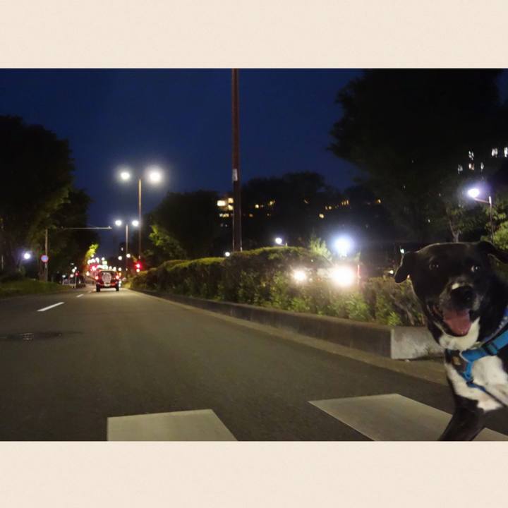 22913469 c069 4b53 b0b4 075961aaabd5 1681469015322