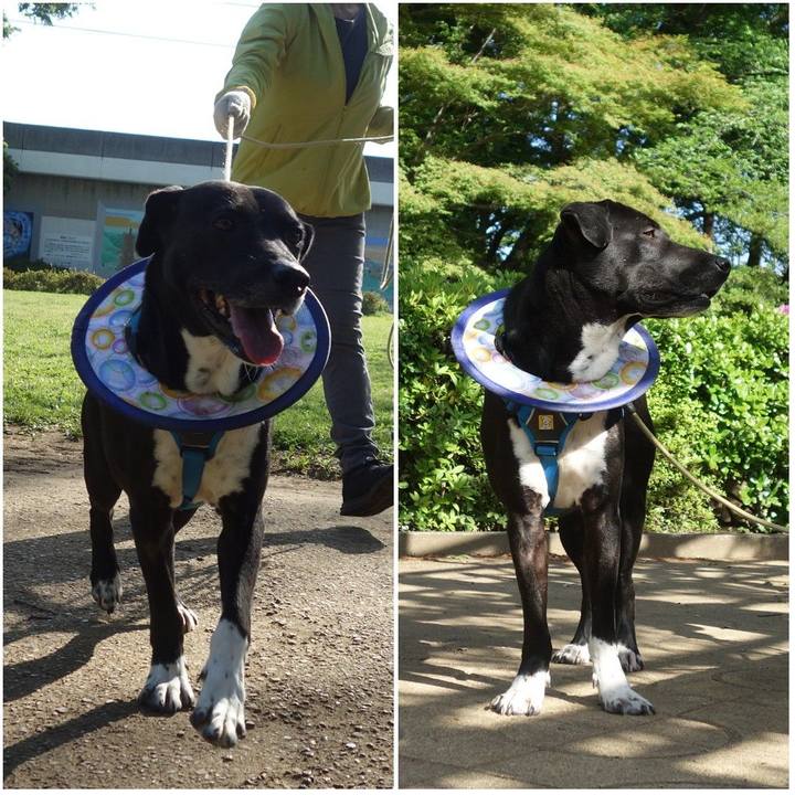 22914a2b 2174 4f41 904a c79296feb203 1619137525512