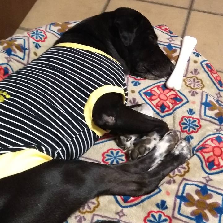 229152e5 f4a8 4b82 9912 a69df4fc7eba 1609249287475