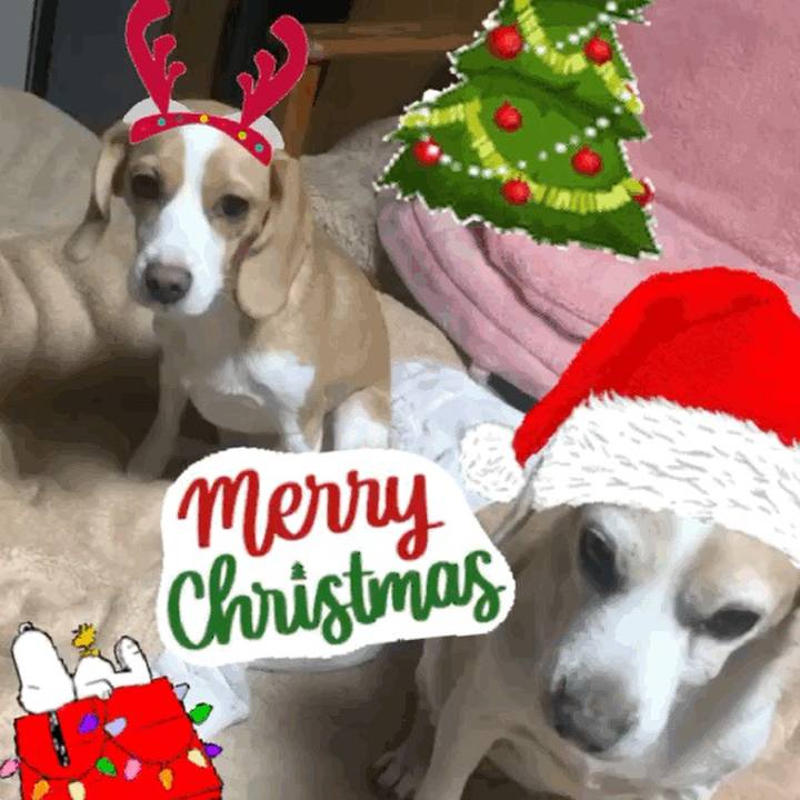 22915814 58c0 4aa4 ae8a a21467e05756 1577199265845