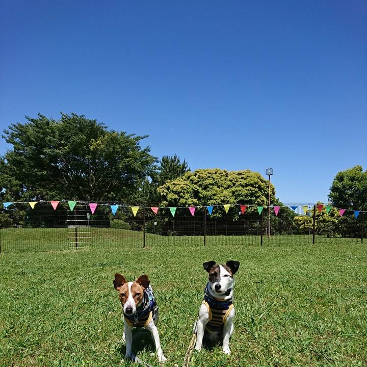 22916491 e617 405d b8f3 8f70ba3b8af0 1526802327521