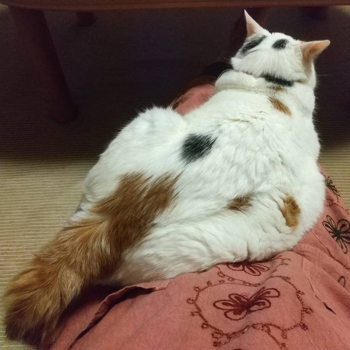 22917d61 08b0 4bdd a4db 9f537a6e889b 1632488804746