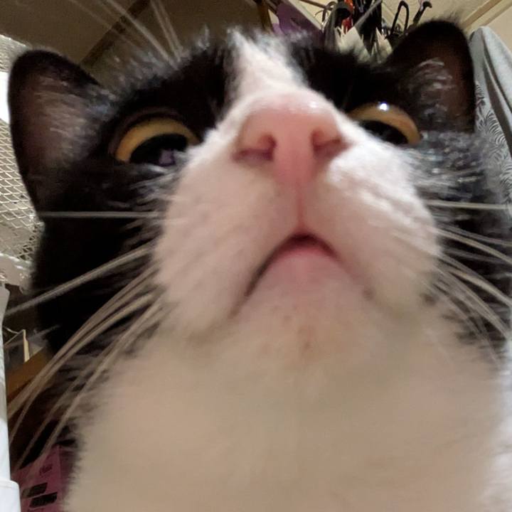 22918440 312f 4a46 bf6d 88891f594f8b 1754967908817