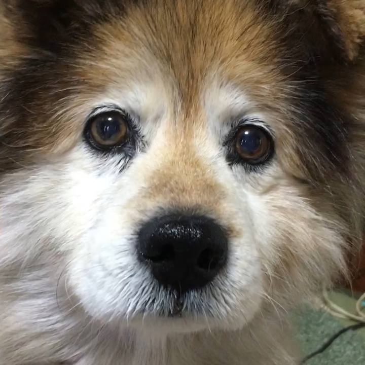 2291c55d a71b 4ed7 b7b8 5d9beb9534ca 1578825346567