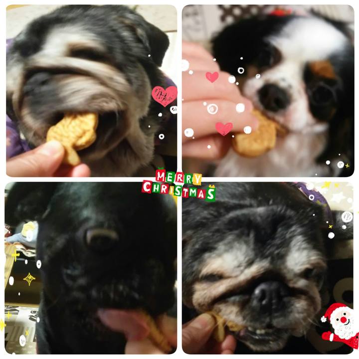 2292082e 5e98 42d7 bec8 fb17bae11785 1514209289163