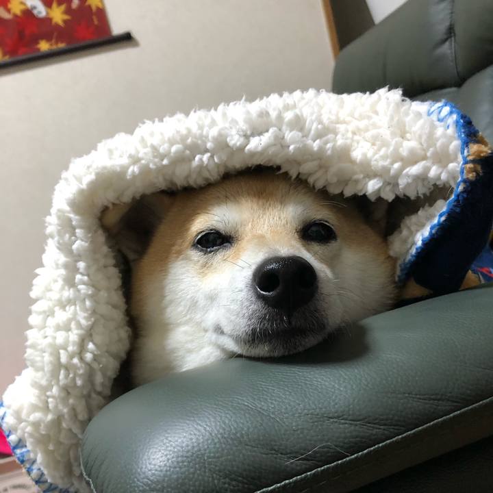 22921838 aed0 4ccf b1ca 31c98915388c 1572257404801