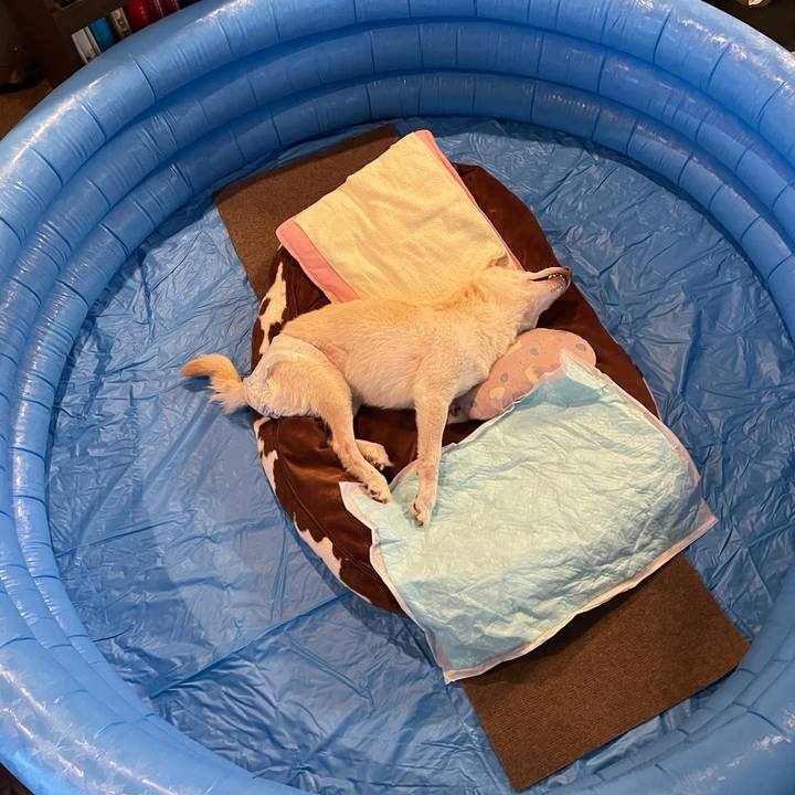 22921bec abdb 4ceb b4f4 c258c0e87721 1678344138886