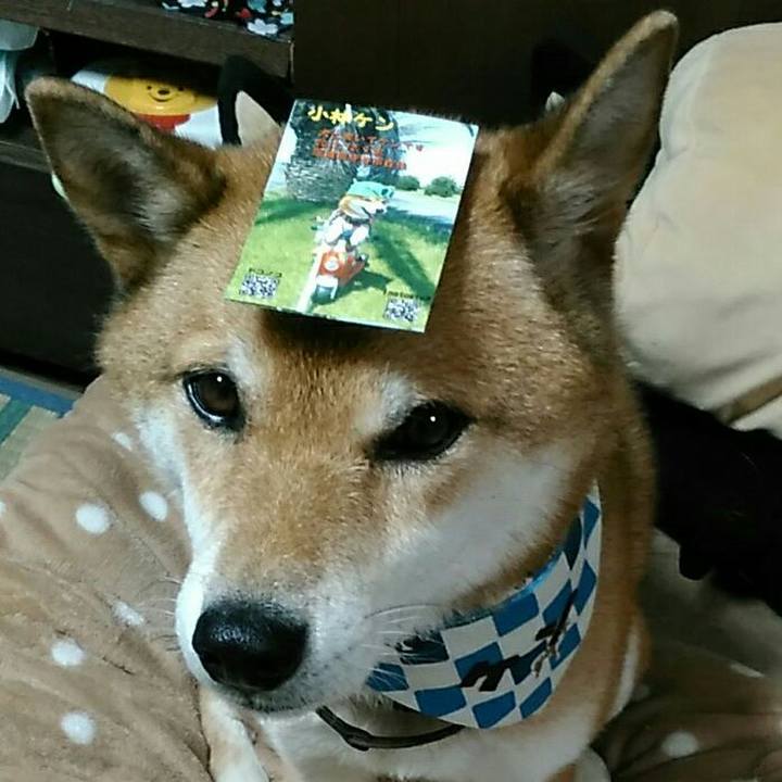 22923ac7 0889 4c02 b4bf 0f8dac24014d 1569234458671