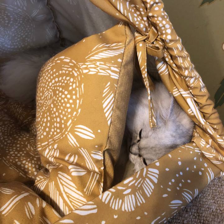 2292c23b 80b3 4e89 b800 77e17d68a30e 1601692124249