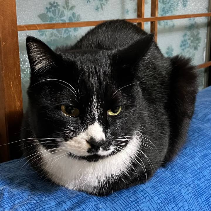 2292c76b 9052 4179 ac8c c7e0907a94ae 1681443848527