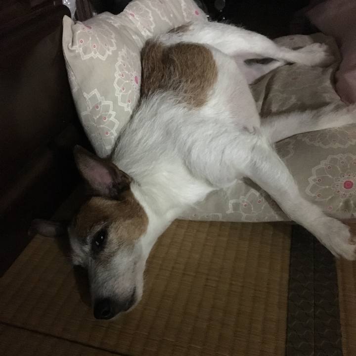 2292d76d ef0b 4a8d a03a 2111132b2195 1563851695618