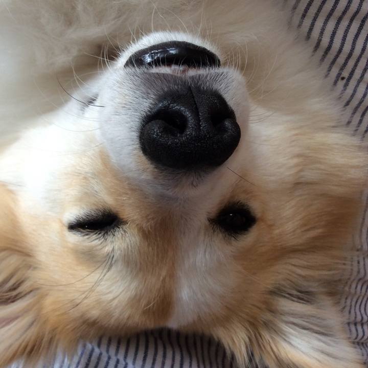 229303dc c74a 47d0 ad2d a3dffef12ee8 1523773840055