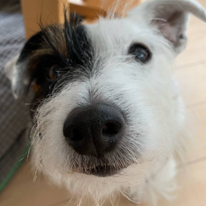 229304a5 794d 4247 8d33 a13714e70934 1575932481389