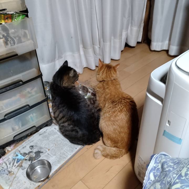 2293278b 5a3c 48c4 aaa0 601764c5d9bf 1702762560944