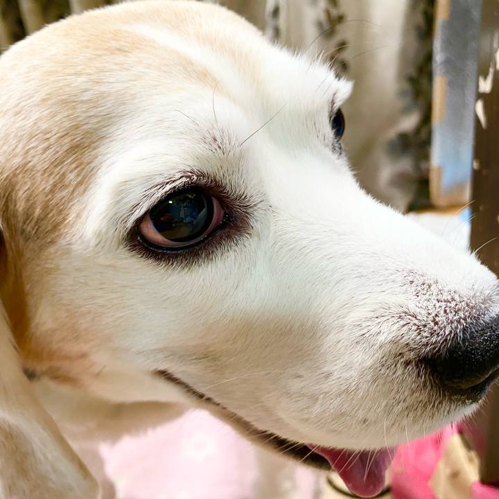 22932f02 c408 4624 a2a8 fbf89511ec1f 1652068434619