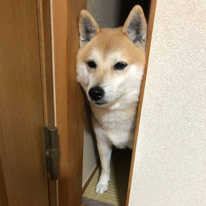 22936743 e4eb 4082 9be9 b6edba0107bd 1551138786953