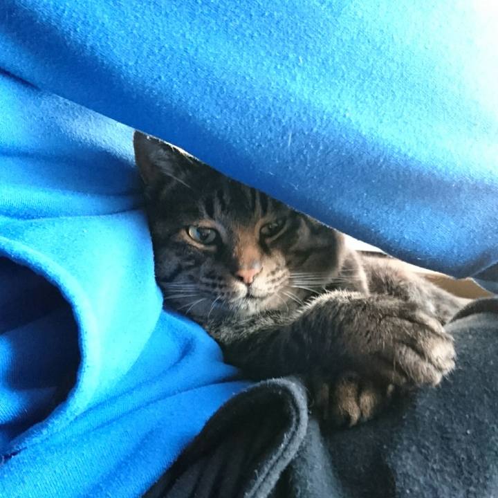 22937307 eaea 41fe 9422 323d7662a982 1511735780324