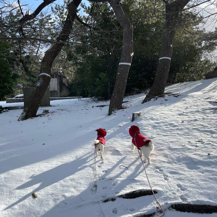 2293827c fc44 4bbf 9833 55de0922301f 1644111169396