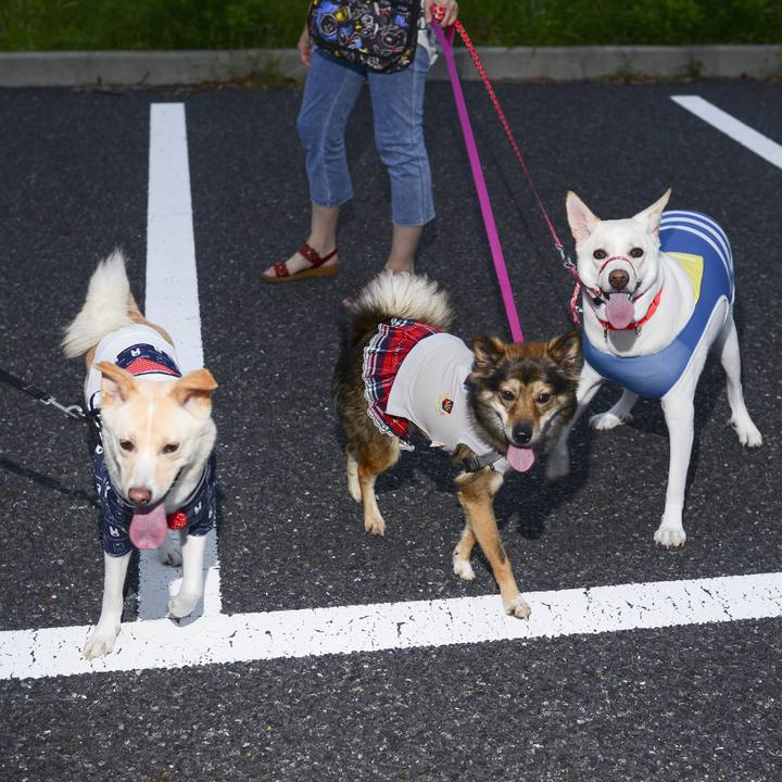 22938366 8fb8 4c23 bf55 eadca9bb06c3 1537719386185