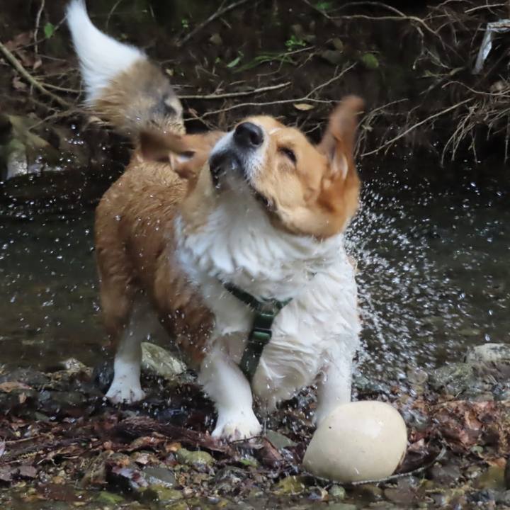 229387dc c3d3 4ad3 b53b ff645f90a4de 1714878459853