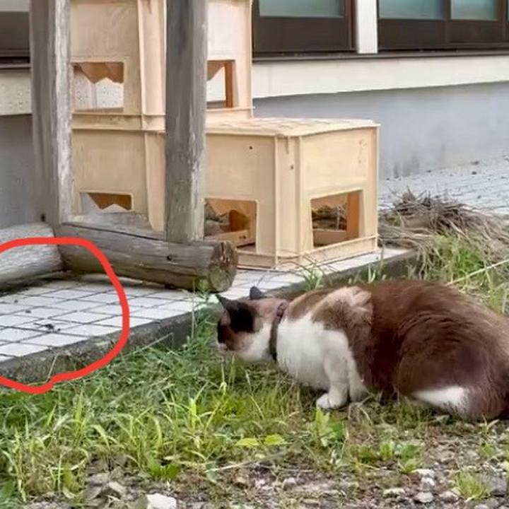 2293bc5a 0e62 421c 93ef 7b8495841db4 1752754349911