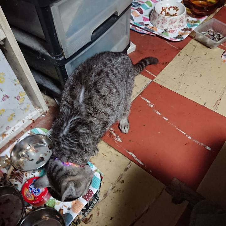 2293f1a1 e1b3 48a5 8893 0a8d3265d282 1593460695958