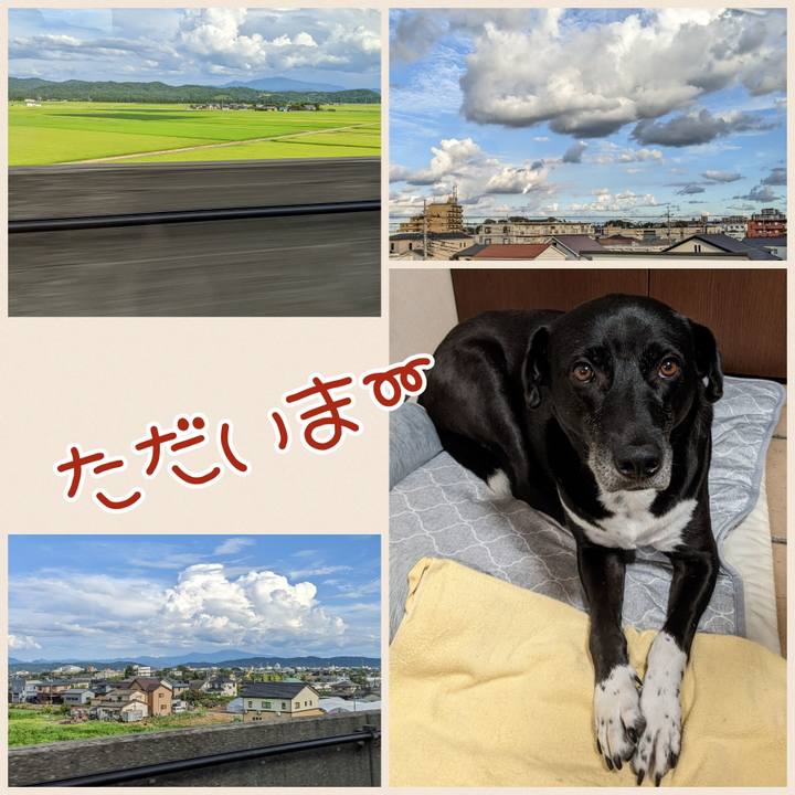 22945349 1e6f 4957 9911 eae6126917c5 1691409531486