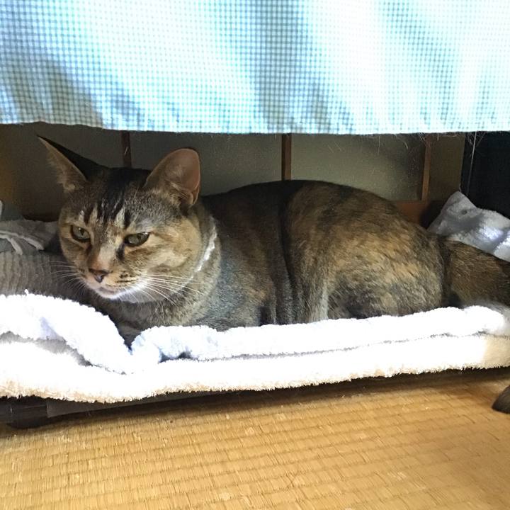 22947bdc 7c5b 4b53 9d54 8bdf497ea3c3 1656559962861