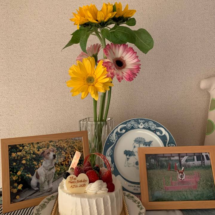 22947f2c 9582 4b01 a04a f52c68dc4c7a 1587977490081