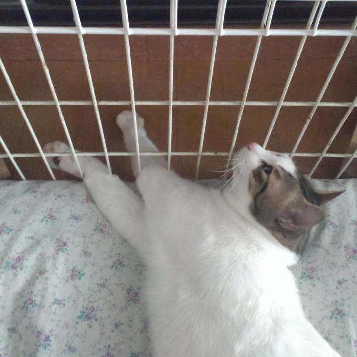 22948c5e 3124 4dee 9559 170c5a6609cd 1704514112894