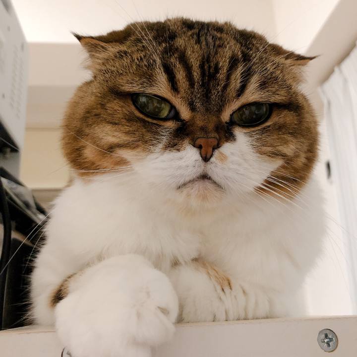 22948e86 a17b 4856 815f 1df4eaacbb50 1573657146602