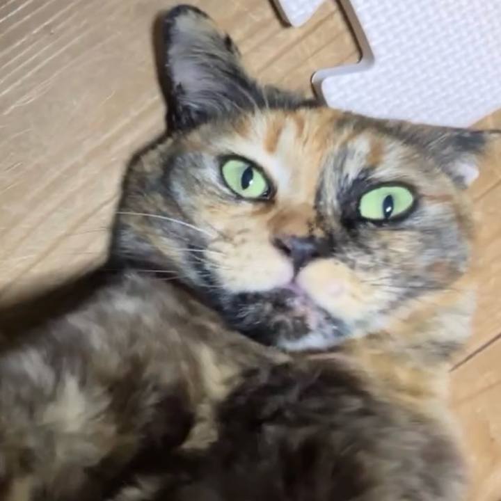 2294ba80 28a2 400b beb2 94fdac1f5257 1742414538675