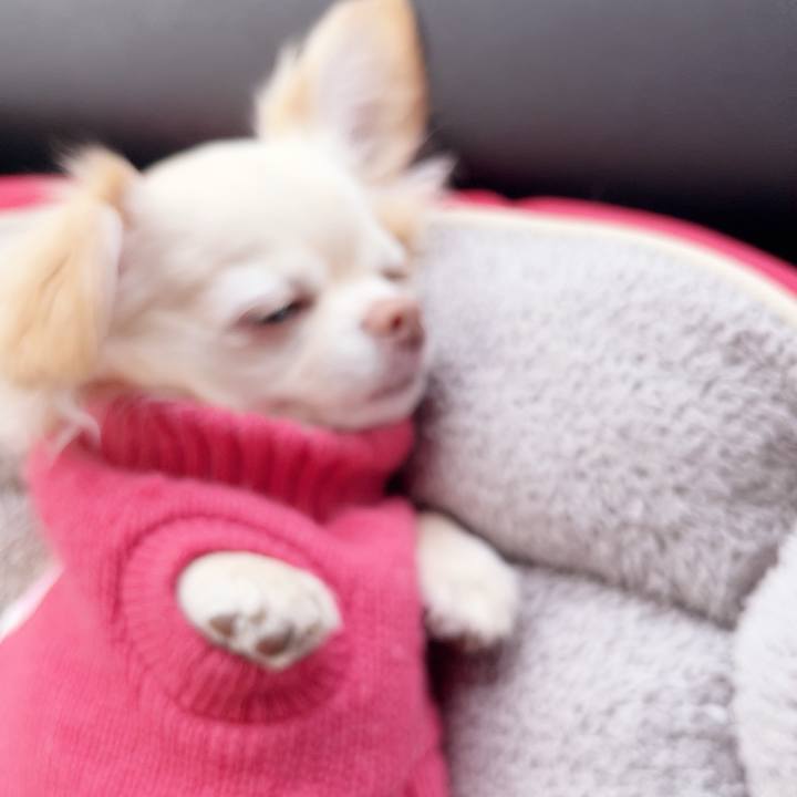 2294d4c4 1ebd 4ff4 b0b1 9ca52c4d41a8 1737290632670