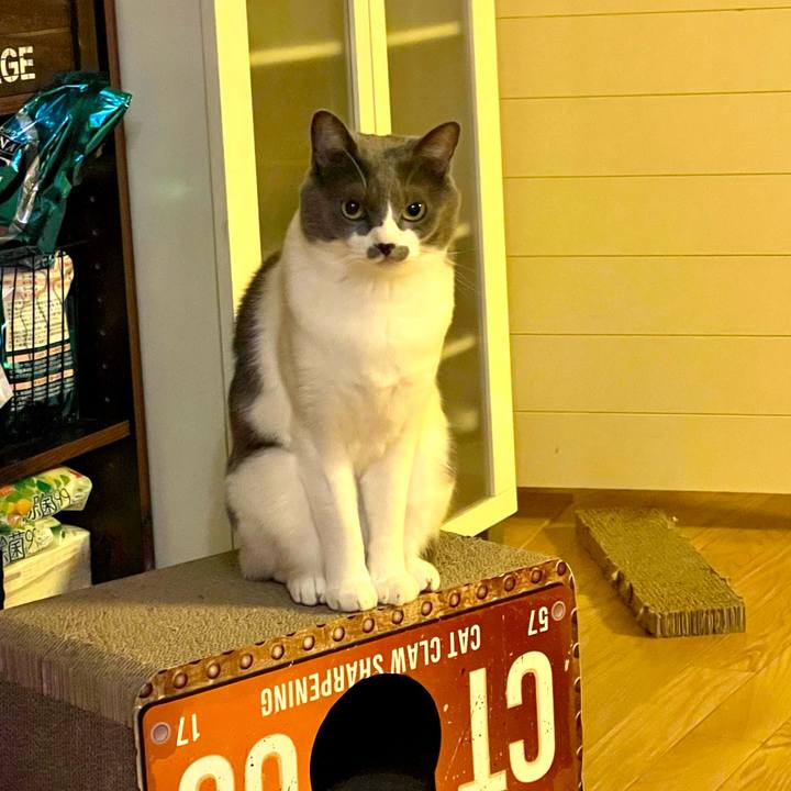 22950258 c119 49d3 8578 1d705db68288 1665046298884