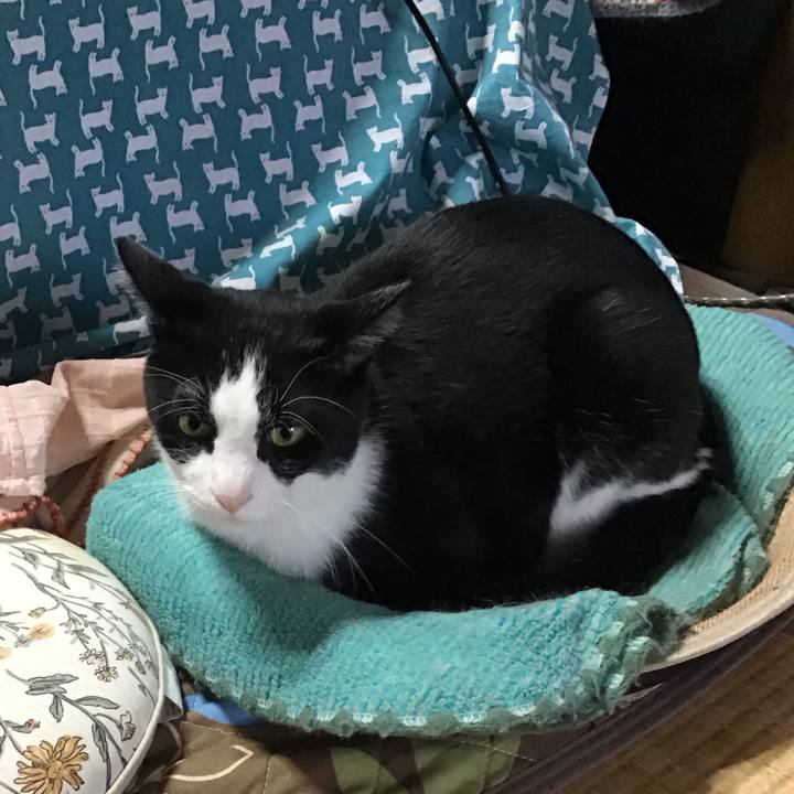 22953848 072b 45da 9a7f 7f14a35c6d34 1761364346833