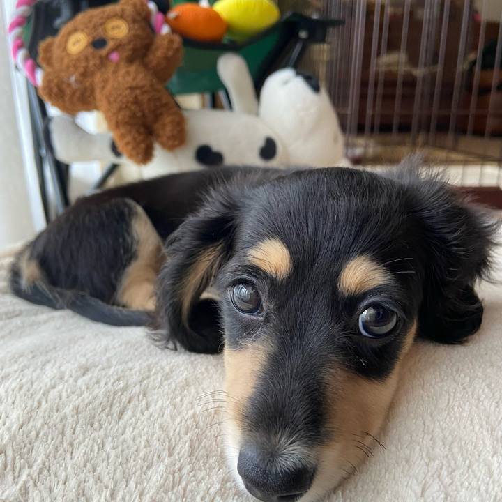 229593e2 c841 48e9 9296 2386dc691414 1665719386197