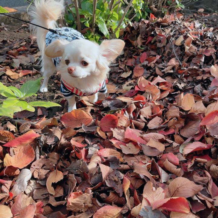 229660f4 d57a 4685 8a18 e6d5224c2cc7 1700724442251