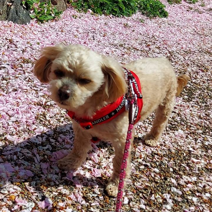 22966eeb db03 41cb 8f6e 67f0c2d3f28e 1681732043558