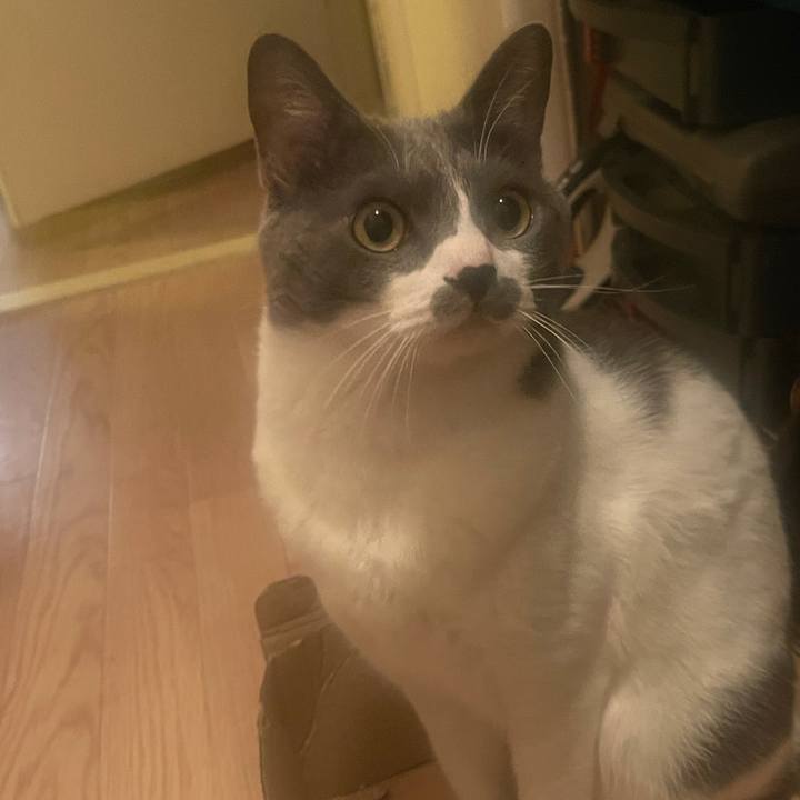 2296cdf6 6fe9 400a 91cf 1d6d0a486d6d 1632215892022